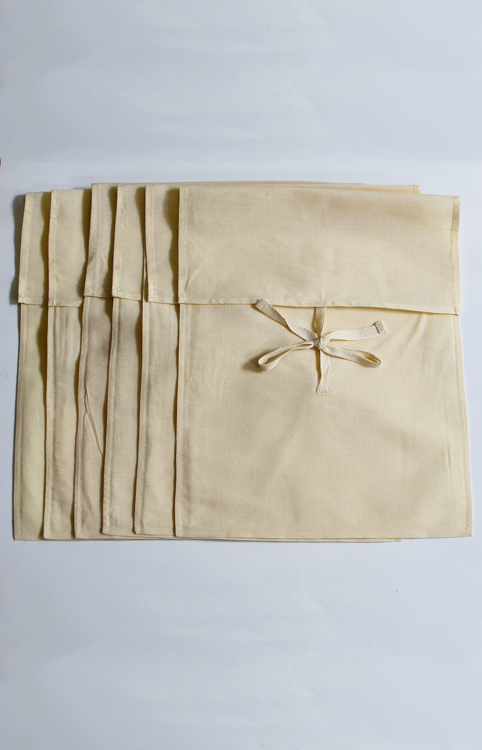 Saree Bags-Set of 6